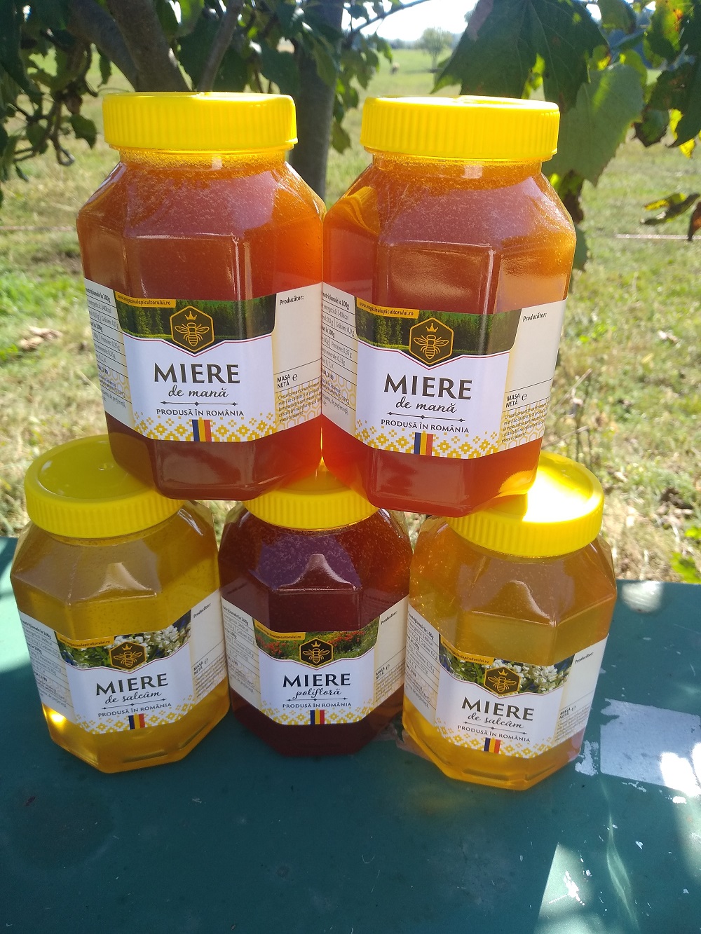 Miere poliflora Oradea si Bihor | Miere de albine