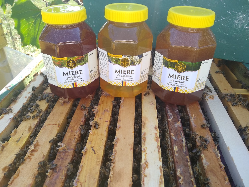 Miere poliflora Oradea Bihor, beneficii si pret bun pentru consumator Miere poliflora Oradea si Bihor | beneficii si pret bun pentru consumator